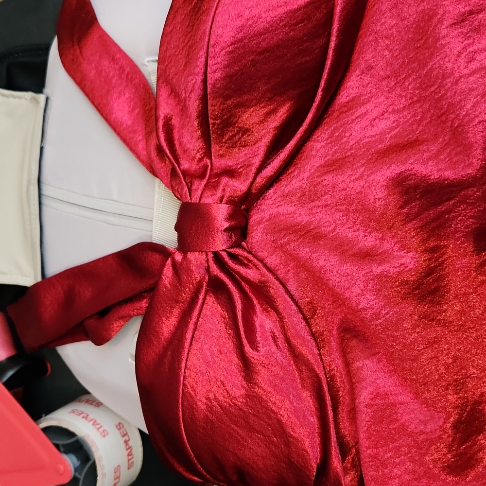 Shiny red dress